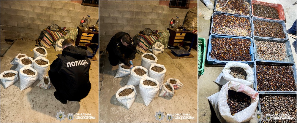 В Ровенской области трем мужчинам объявили подозрение за незаконный янтарный бизнес