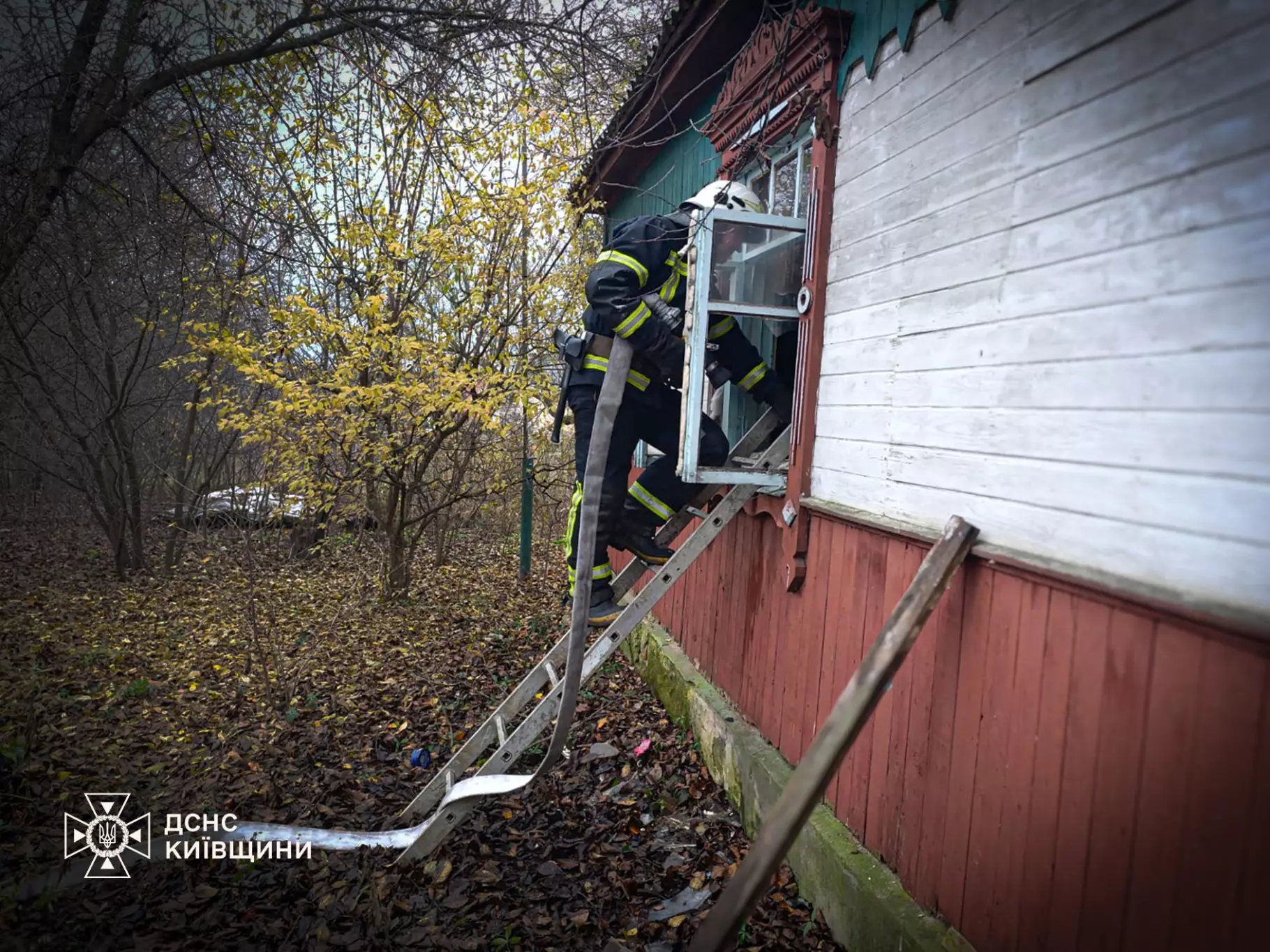 В Киевской области во время пожара погибли два человека