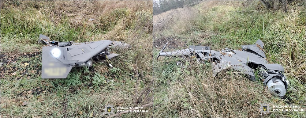 На Житомирщині знешкодили бойові елементи російських ракет і дронів