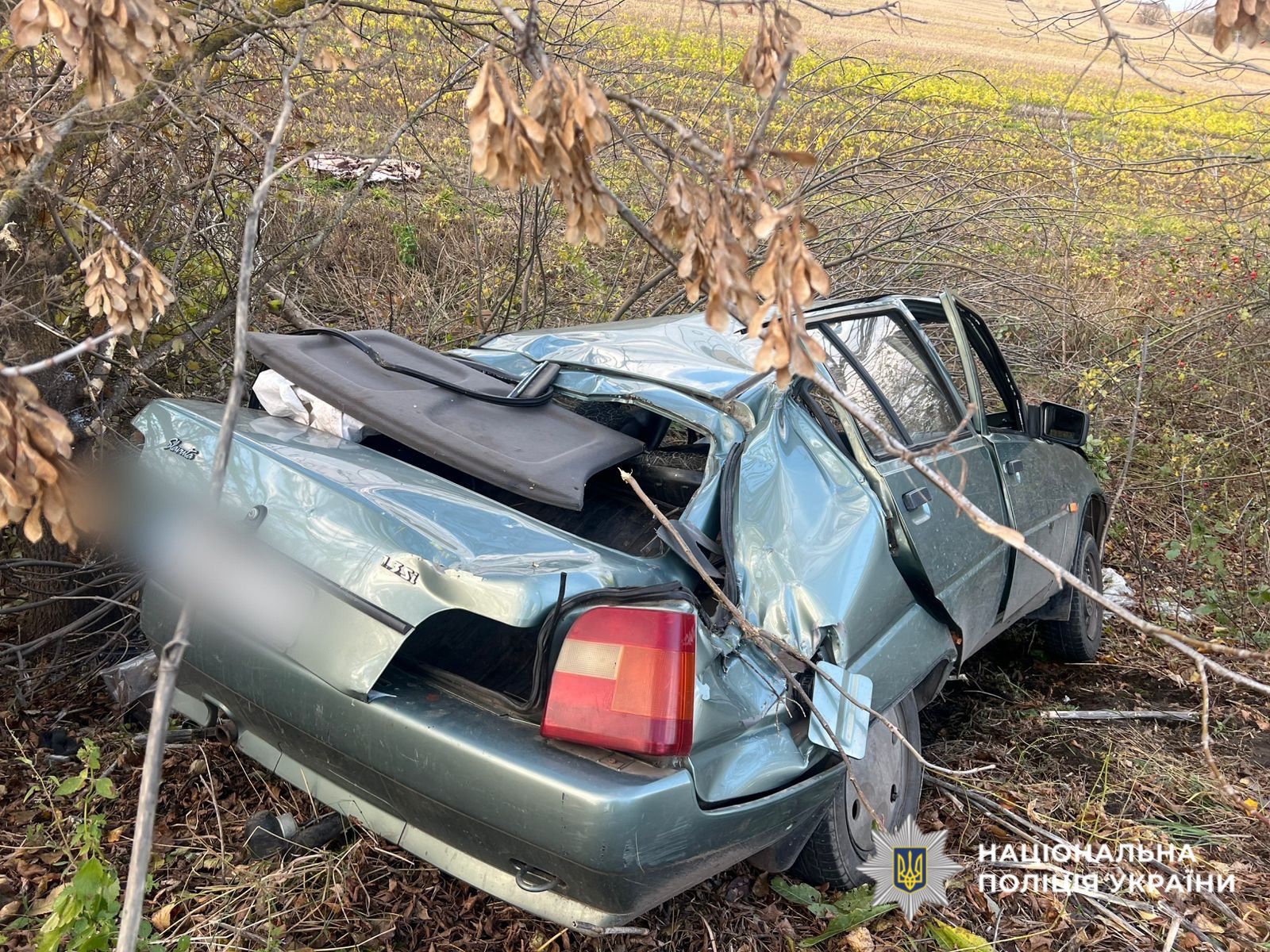 В Киевской области автомобиль съехал с дороги и перевернулся