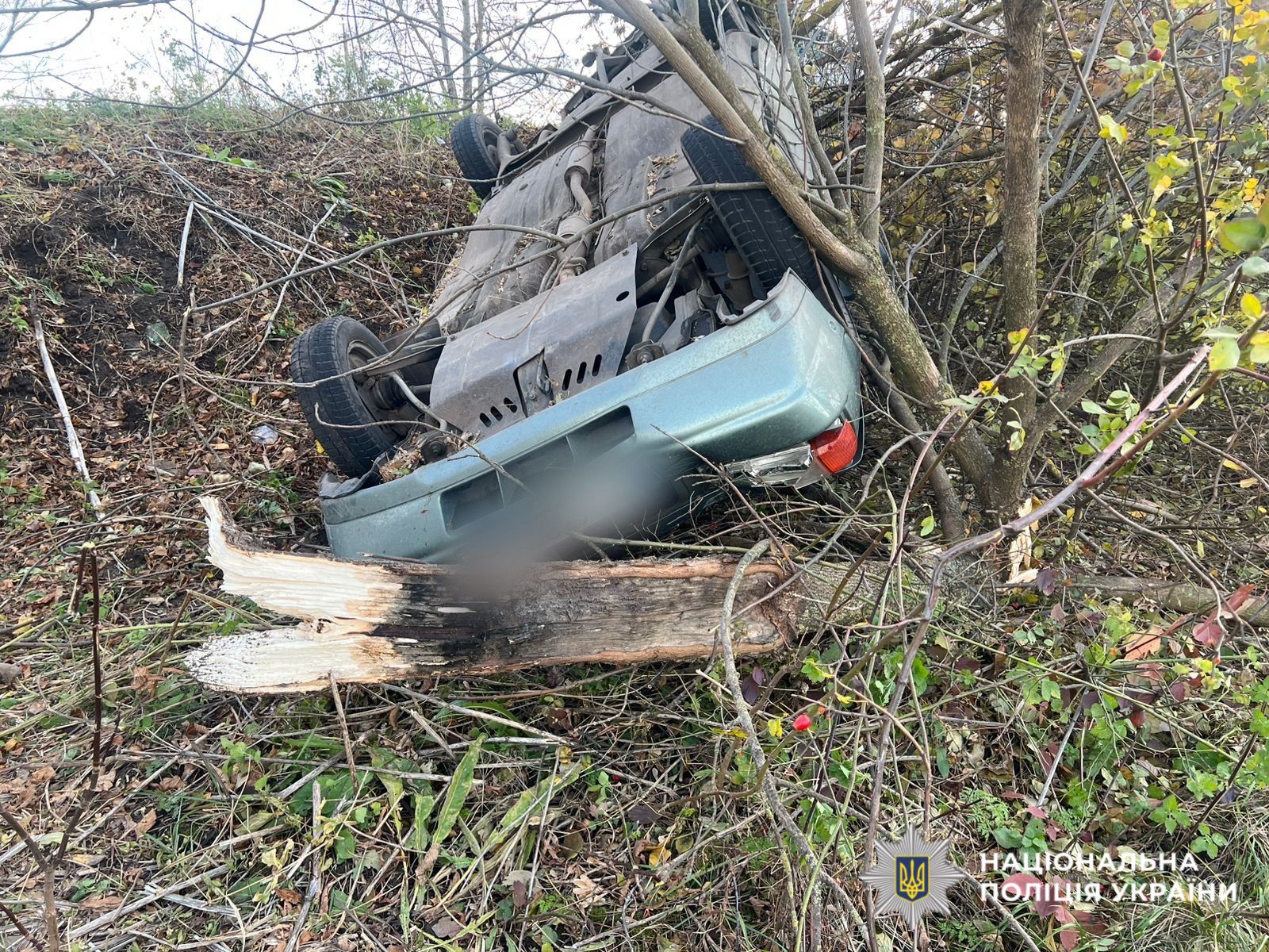 В Киевской области автомобиль съехал с дороги и перевернулся: пострадала женщина и подросток