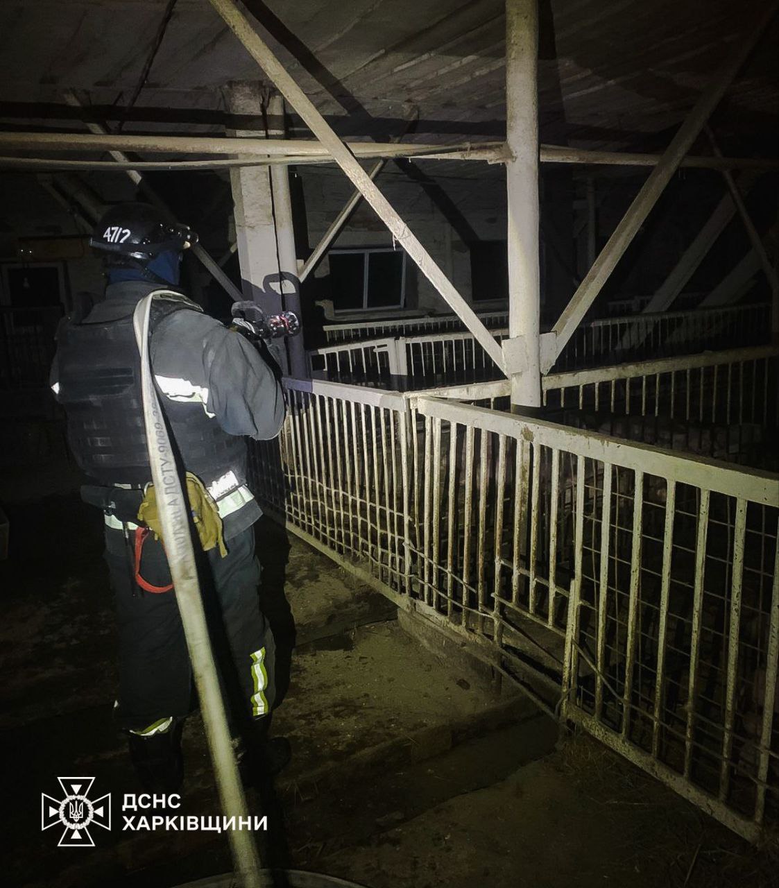 В результате атаки на Харьковщине горела ферма: пострадала женщина, погибли 60 животных