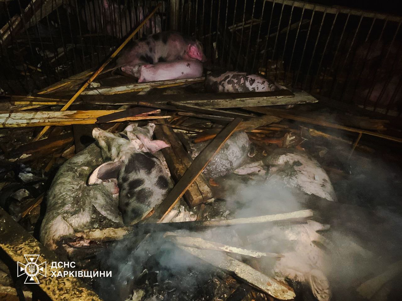 В результате атаки на Харьковщине горела ферма: погибли 60 животных