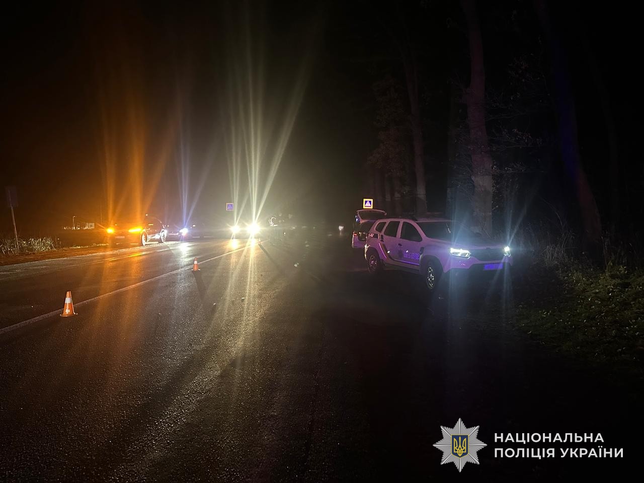 Во Львовской области водитель сбил двух пешеходов: один погиб, другая травмирована