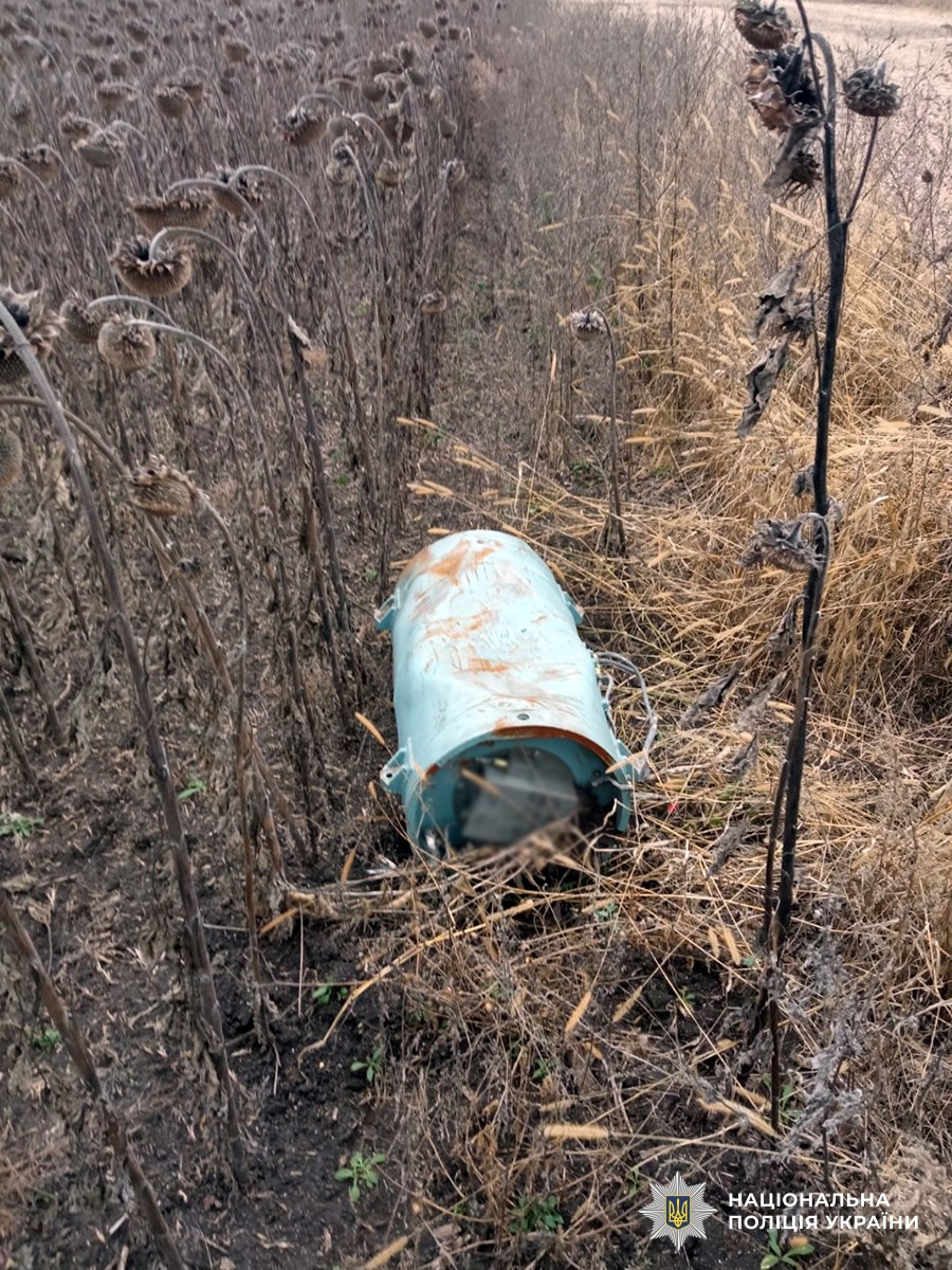 На Житомирщині знешкодили бойові елементи російських ракет Х-101