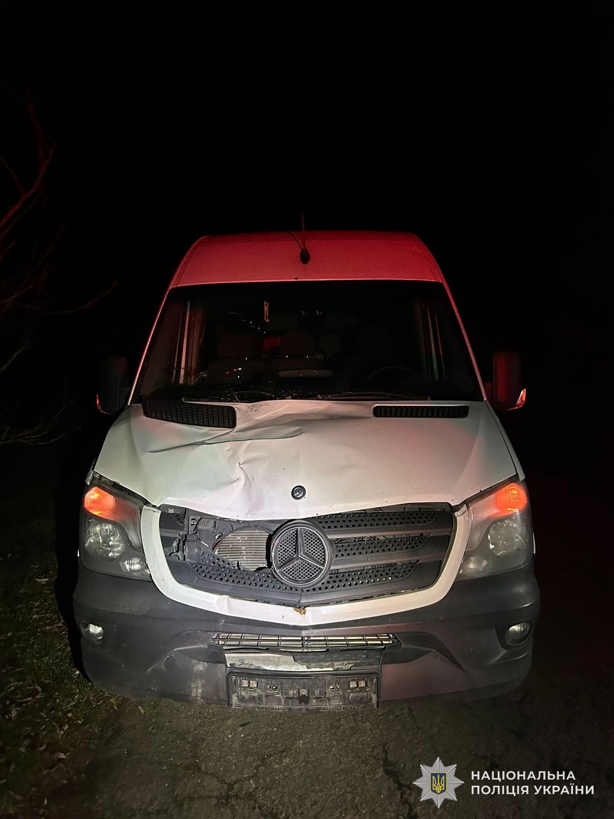 Во Львовской области под колесами микроавтобуса погиб мужчина