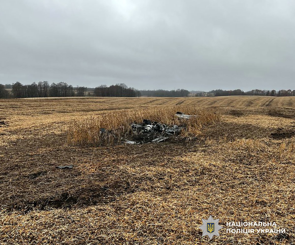 На Житомирщині знешкодили бойові елементи російських ракет Х-101 і дронів-камікадзе