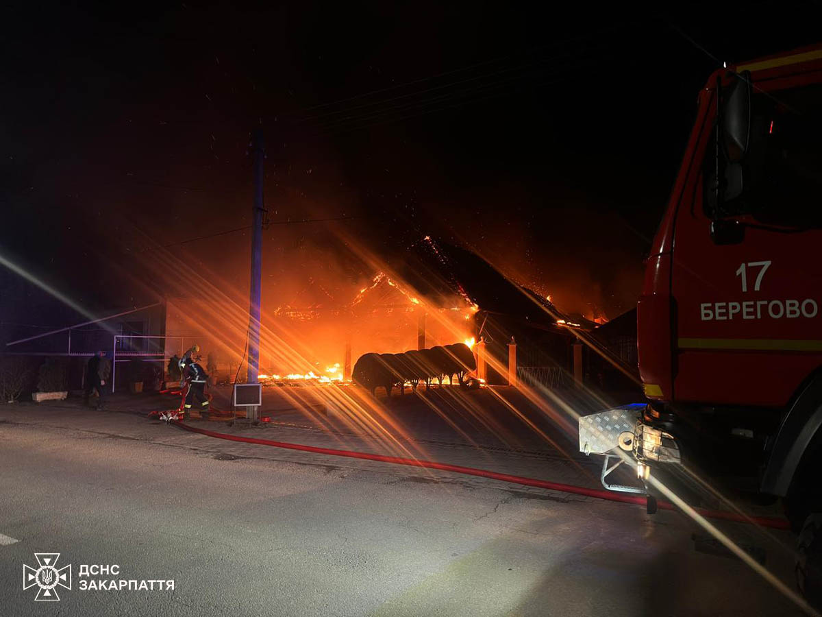 На Закарпатті сталася масштабна пожежа: горів ресторан