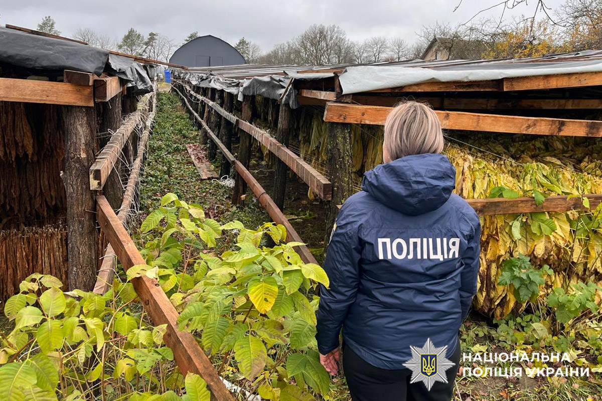 В Хмельницкой области накрыли нелегальное производство табака