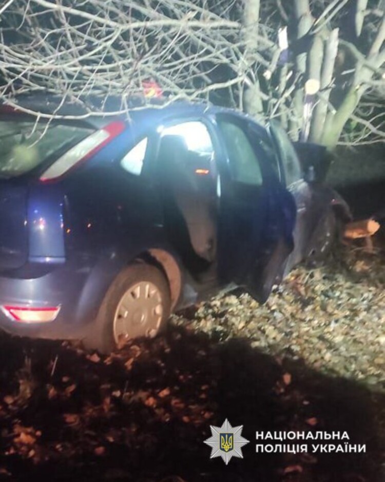 На Черкащині легковик врізався у дерево: водій загинув