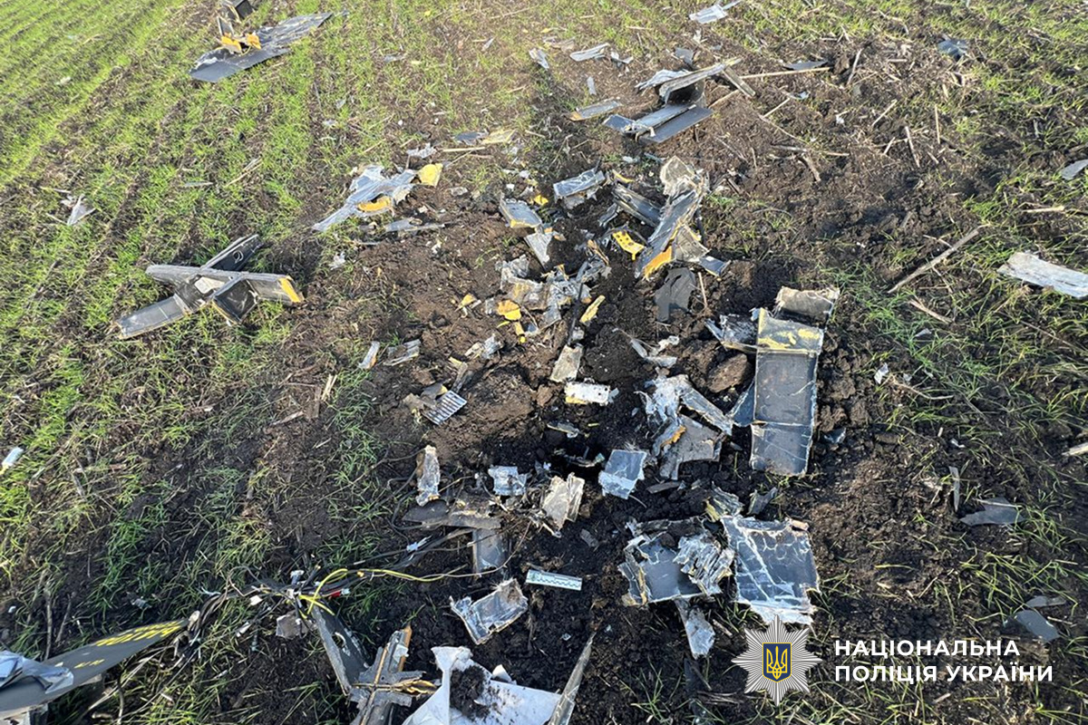 На Миколаївщині знищили бойову частину ворожого безпілотника
