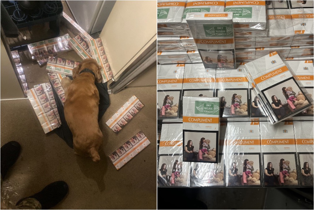 У поїзді до Польщі службовий собака знайшов сховок із контрабандою