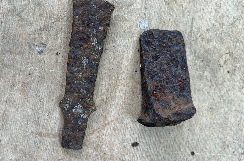 С Украины пытались вывезти скифское оружие