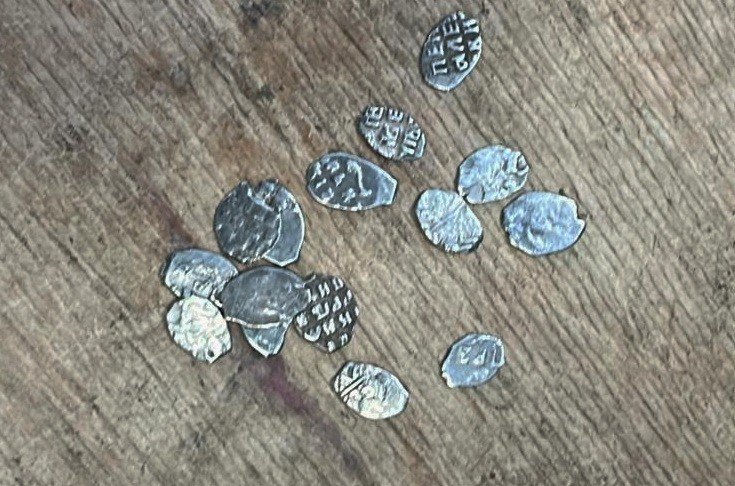 С Украины пытались вывезти скифское оружие и коллекцию монет