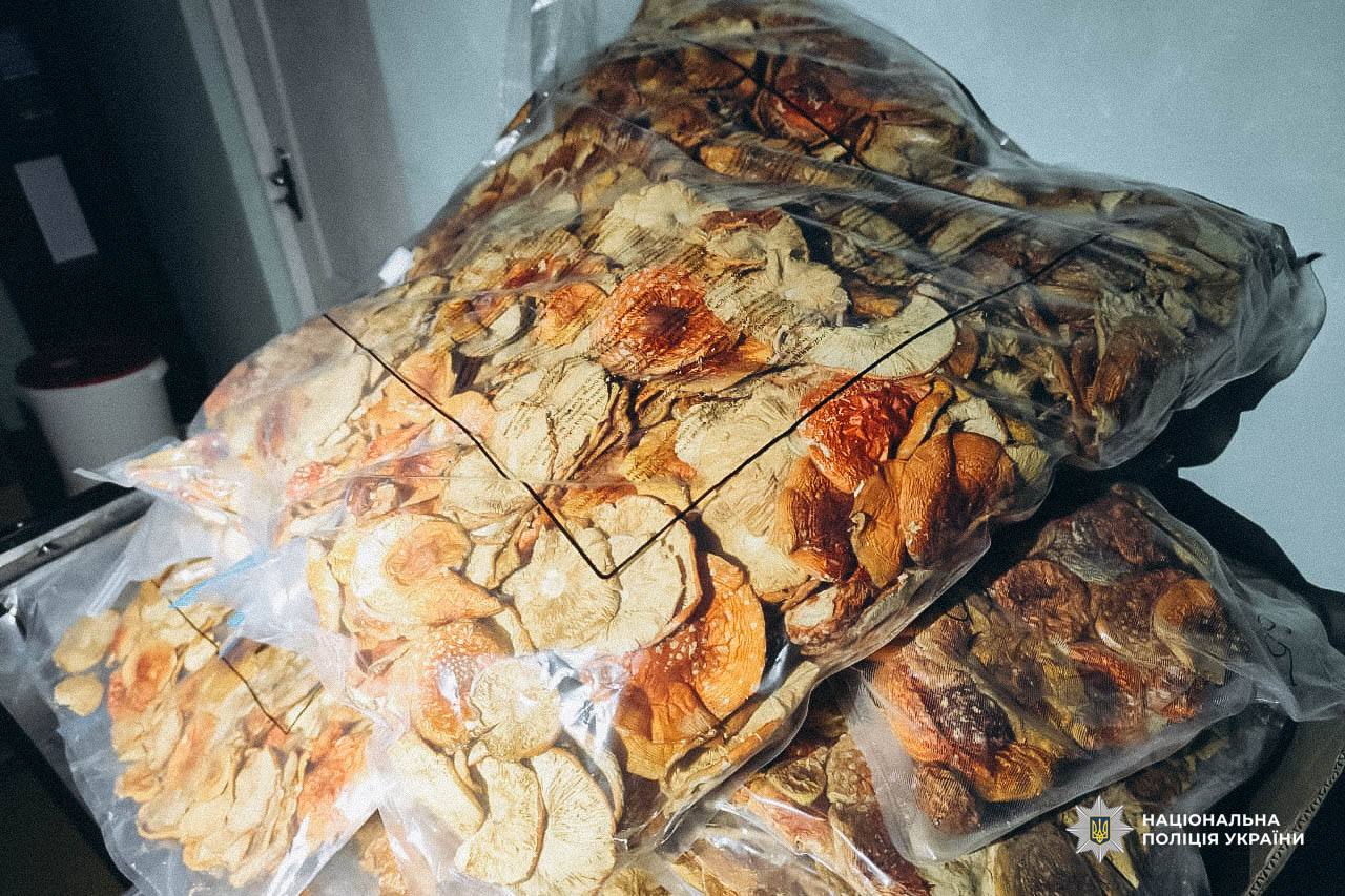 На Волині ліквідували масштабну мережу збуту наркотиків та психотропів на 430 млн грн