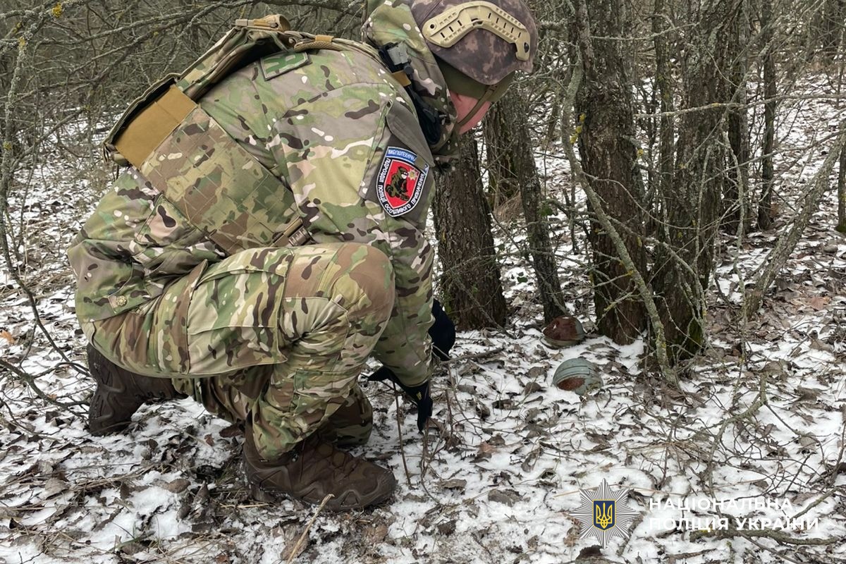 В Николаевской области уничтожили суббоеприпасы к российской крылатой ракете