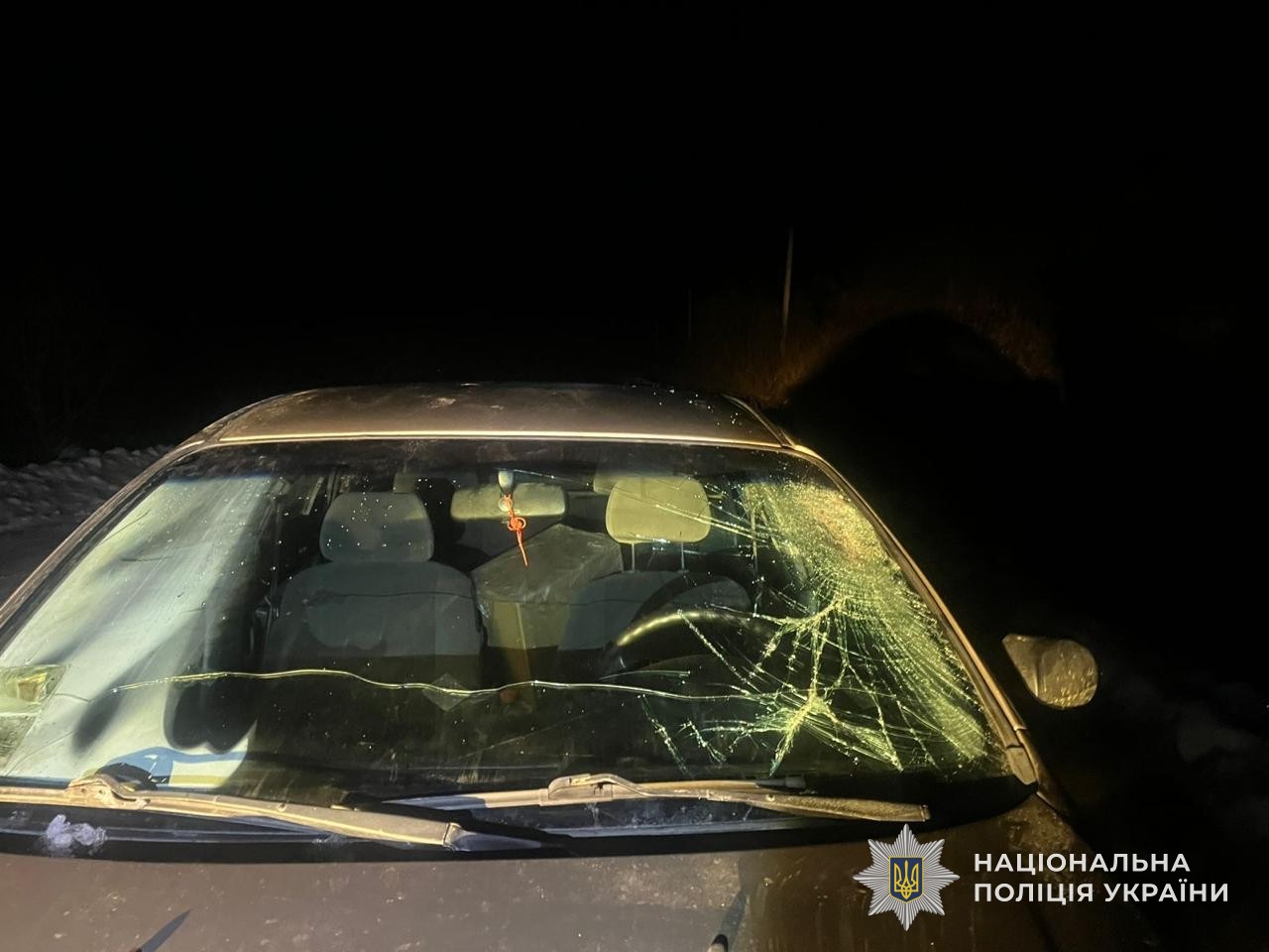 На Львовщине пьяный водитель легковушки сбил двух пешеходов