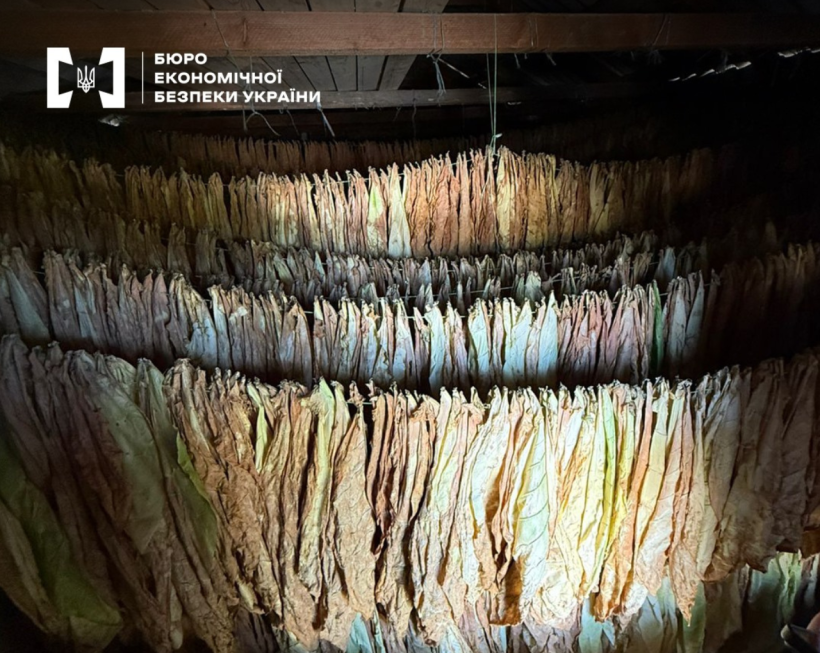 В Винницкой области будут судить трех мужчин за подпольное производство сигарет