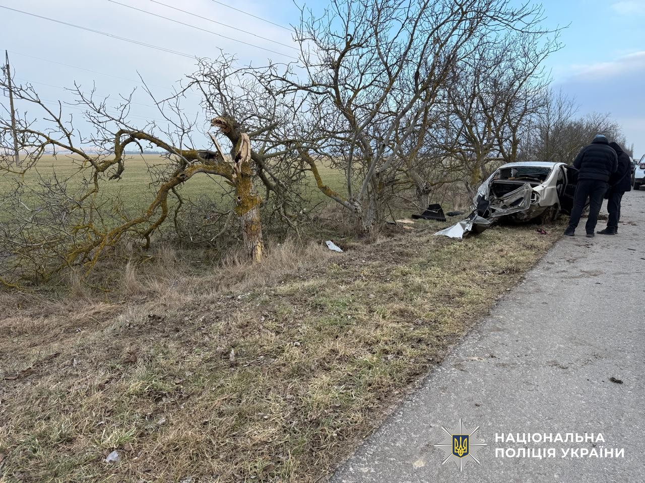 На Миколаївщині автомобіль вилетів у кювет та врізався в дерево: загинула жінка