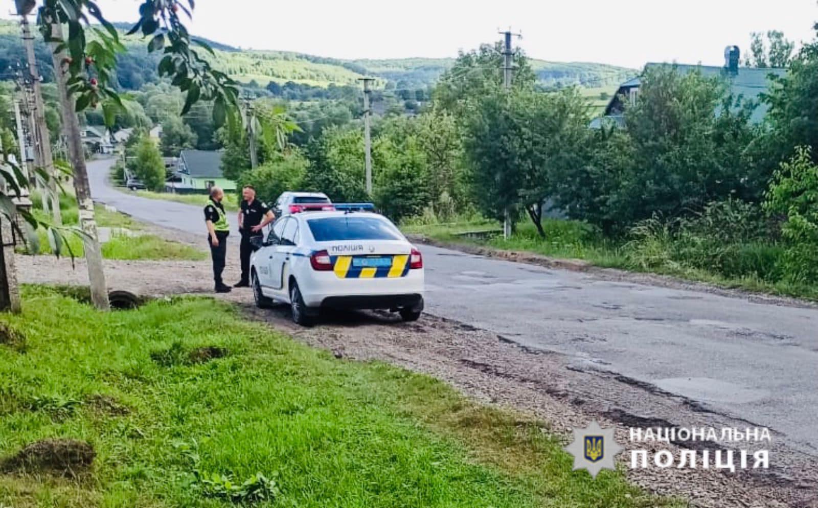 На Прикарпатье несовершеннолетние парни попали в ДТП на угнанной машине